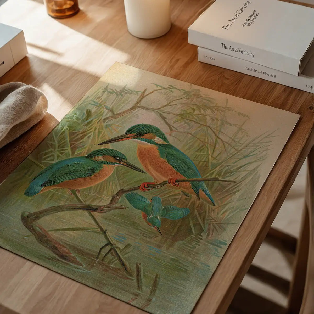 Common Kingfisher Vintage Bird Print by Johann Friedrich Naumann