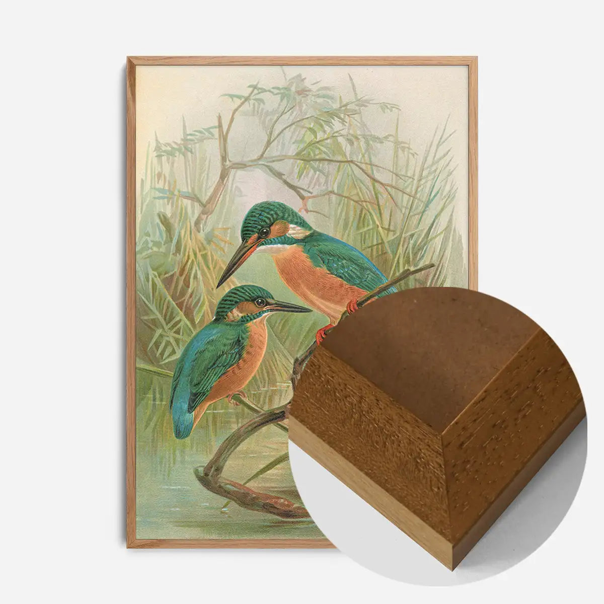 Common Kingfisher Vintage Bird Print by Johann Friedrich Naumann