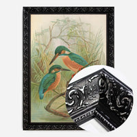 Common Kingfisher Vintage Bird Print by Johann Friedrich Naumann