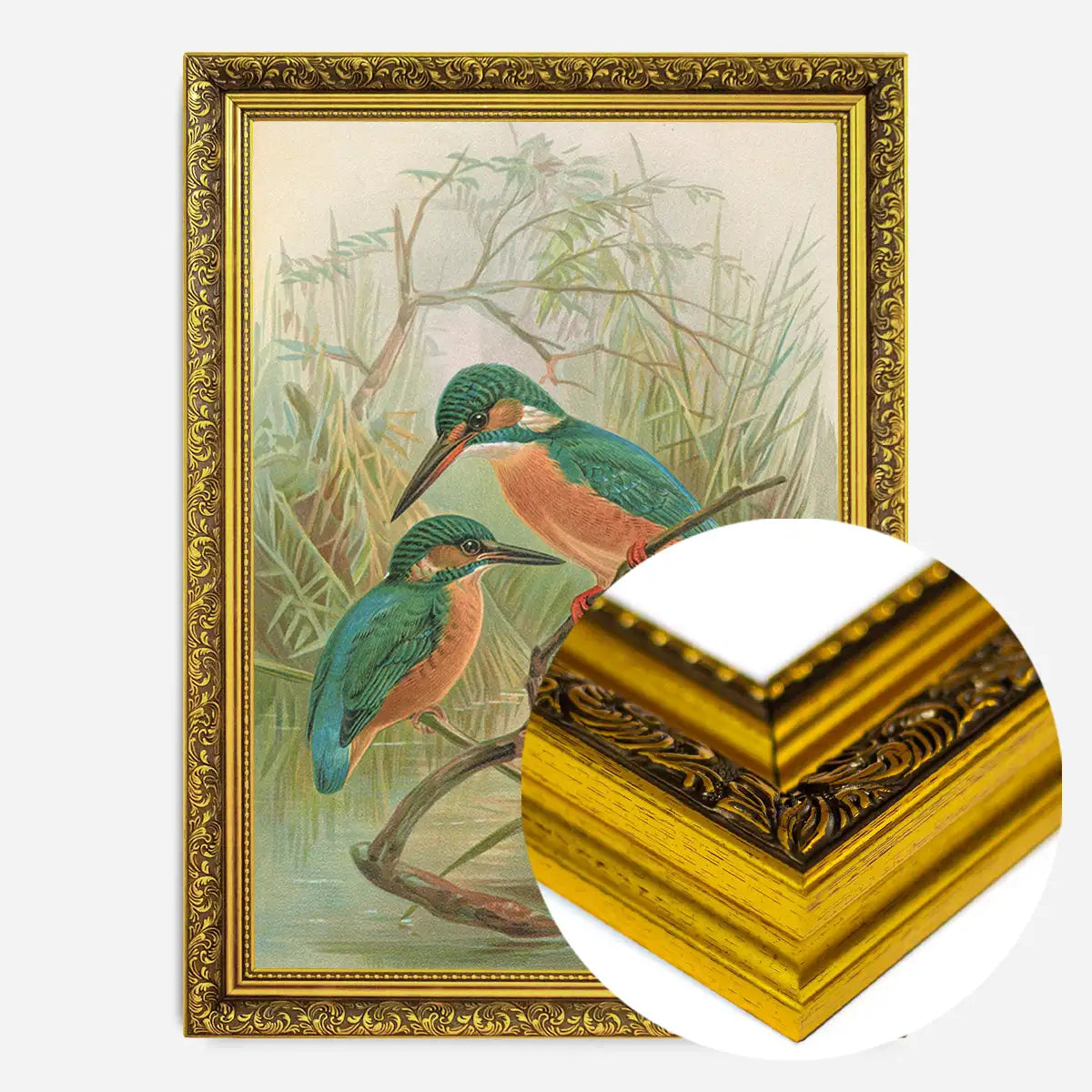 Common Kingfisher Vintage Bird Print by Johann Friedrich Naumann