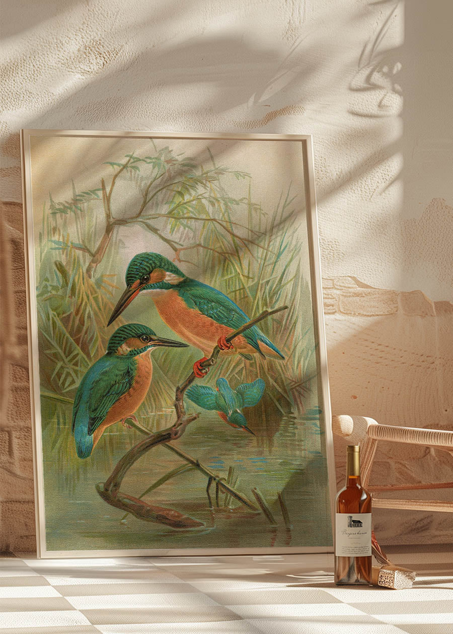 Common Kingfisher Vintage Bird Print by Johann Friedrich Naumann