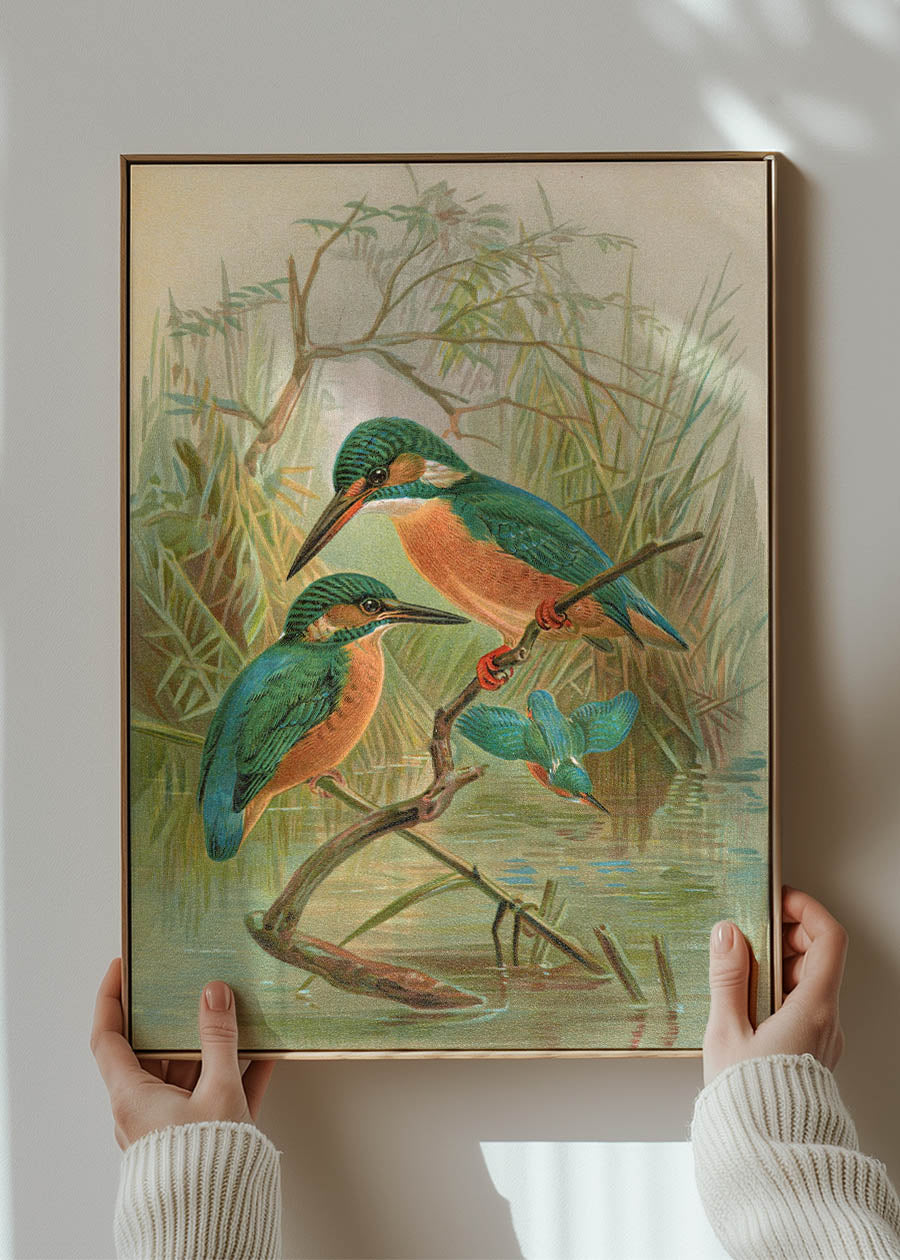 Common Kingfisher Vintage Bird Print by Johann Friedrich Naumann