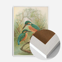 Common Kingfisher Vintage Bird Print by Johann Friedrich Naumann