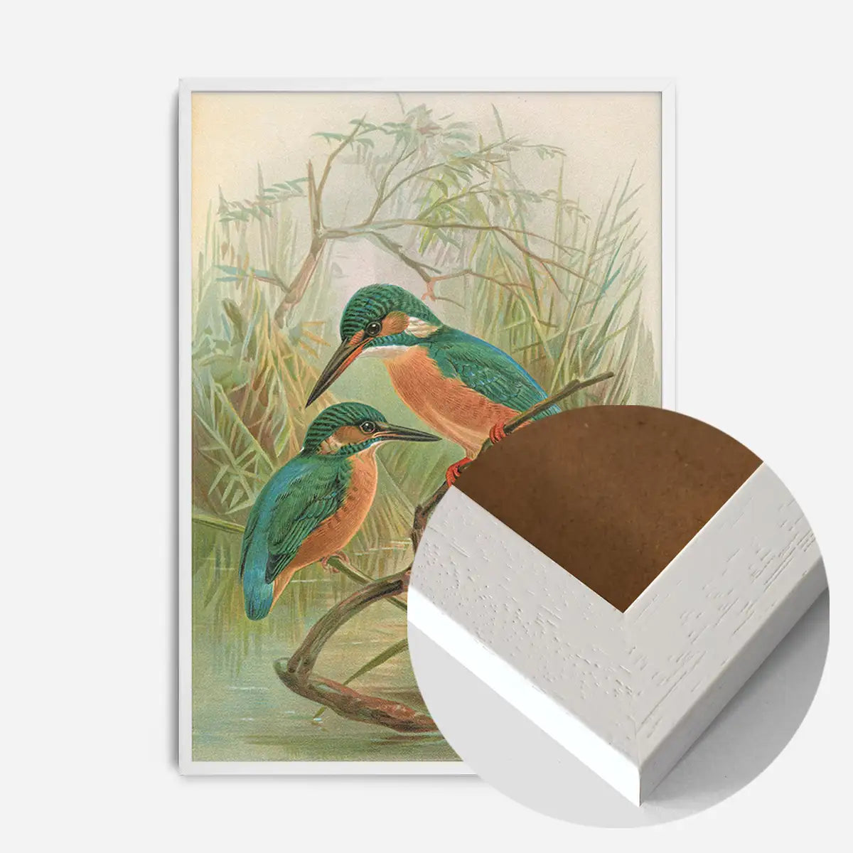 Common Kingfisher Vintage Bird Print by Johann Friedrich Naumann