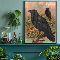 Common Raven Vintage Bird Print by Johann Friedrich Naumann