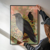 Common Raven Vintage Bird Print by Johann Friedrich Naumann