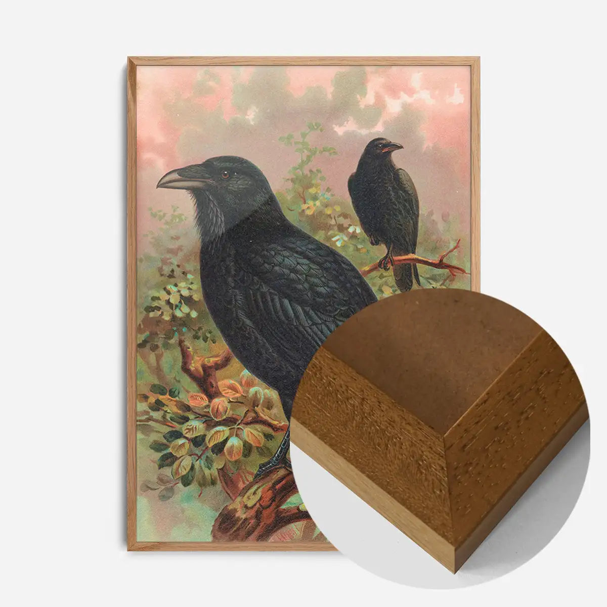 Common Raven Vintage Bird Print by Johann Friedrich Naumann