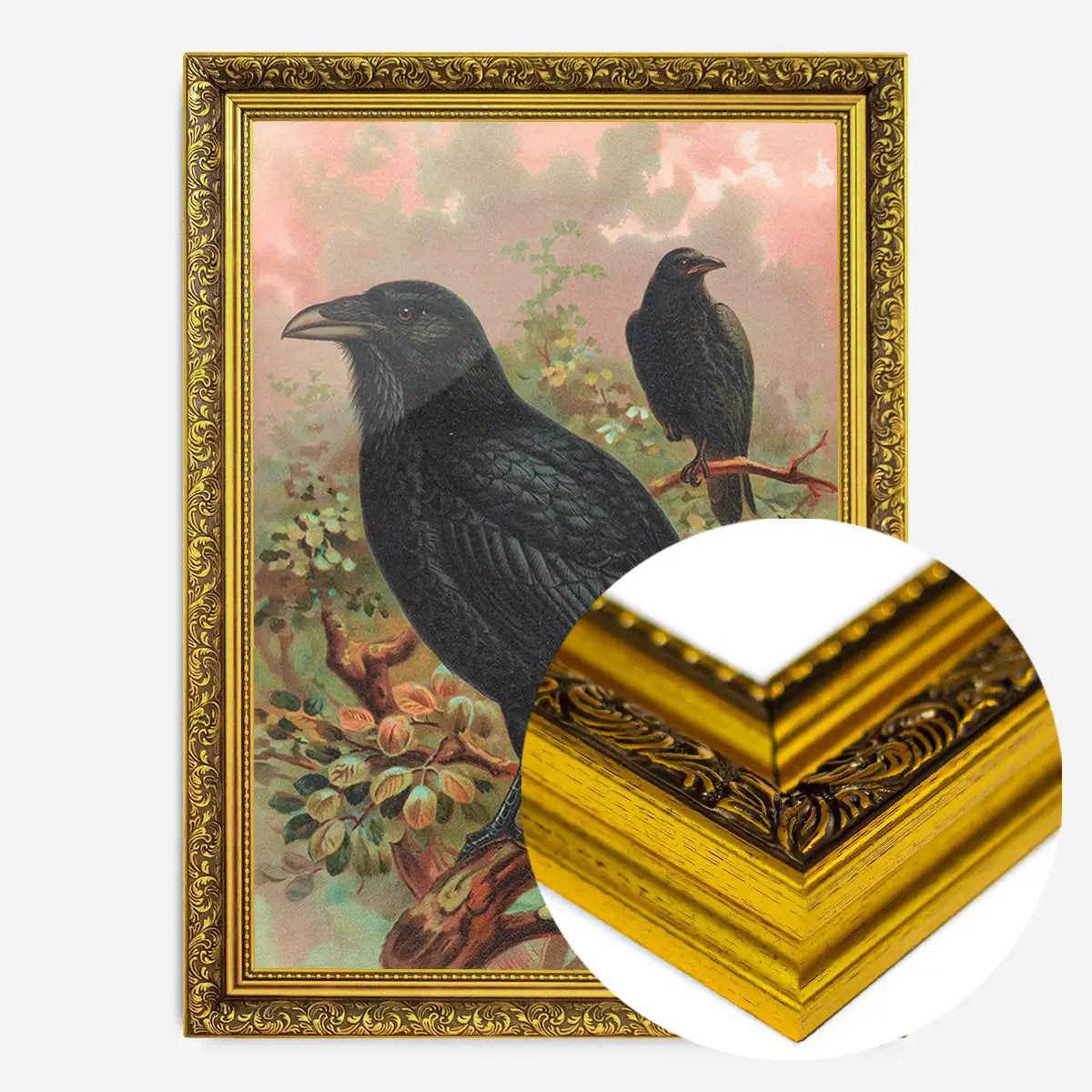 Common Raven Vintage Bird Print by Johann Friedrich Naumann