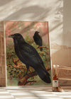 Common Raven Vintage Bird Print by Johann Friedrich Naumann