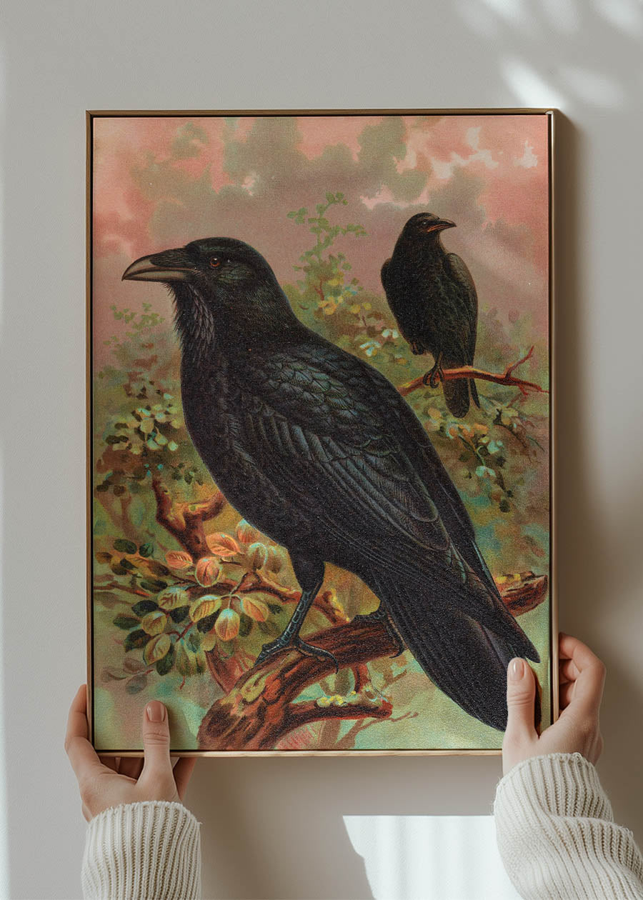 Common Raven Vintage Bird Print by Johann Friedrich Naumann