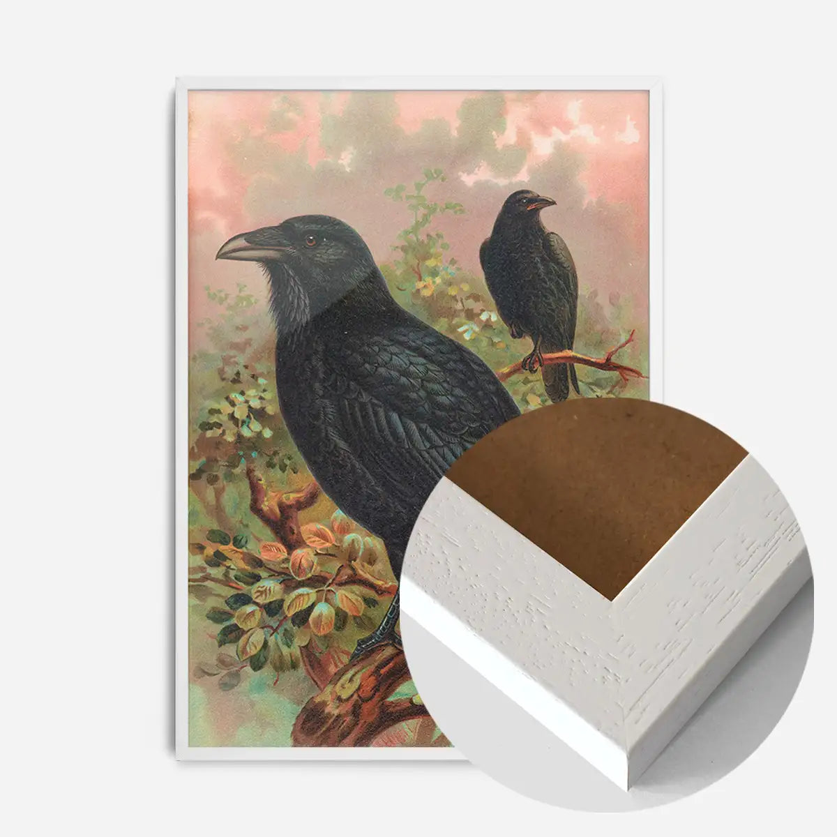 Common Raven Vintage Bird Print by Johann Friedrich Naumann