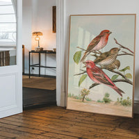 Common Rosefinch Vintage Bird Print by Johann Friedrich Naumann