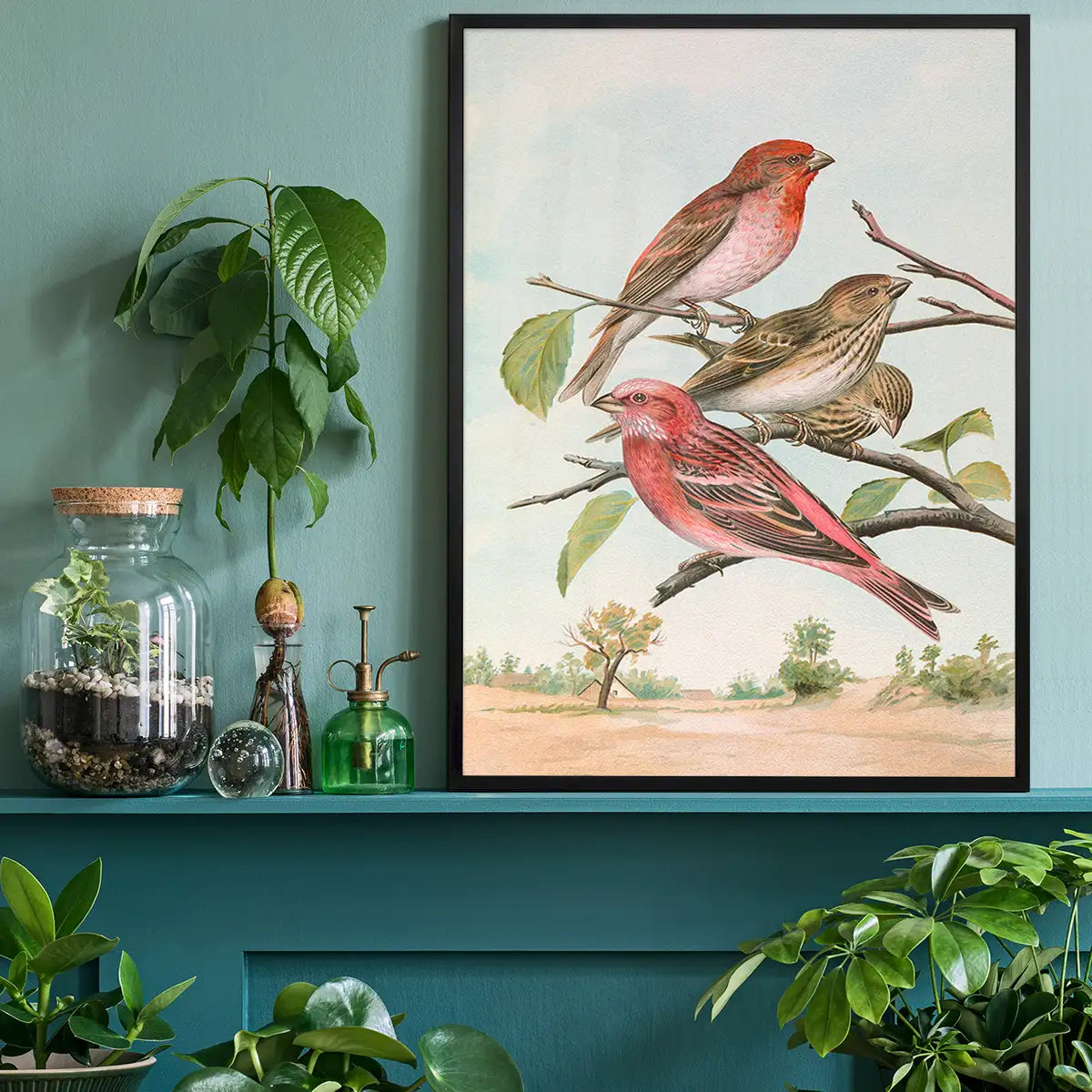 Common Rosefinch Vintage Bird Print by Johann Friedrich Naumann