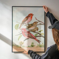 Common Rosefinch Vintage Bird Print by Johann Friedrich Naumann