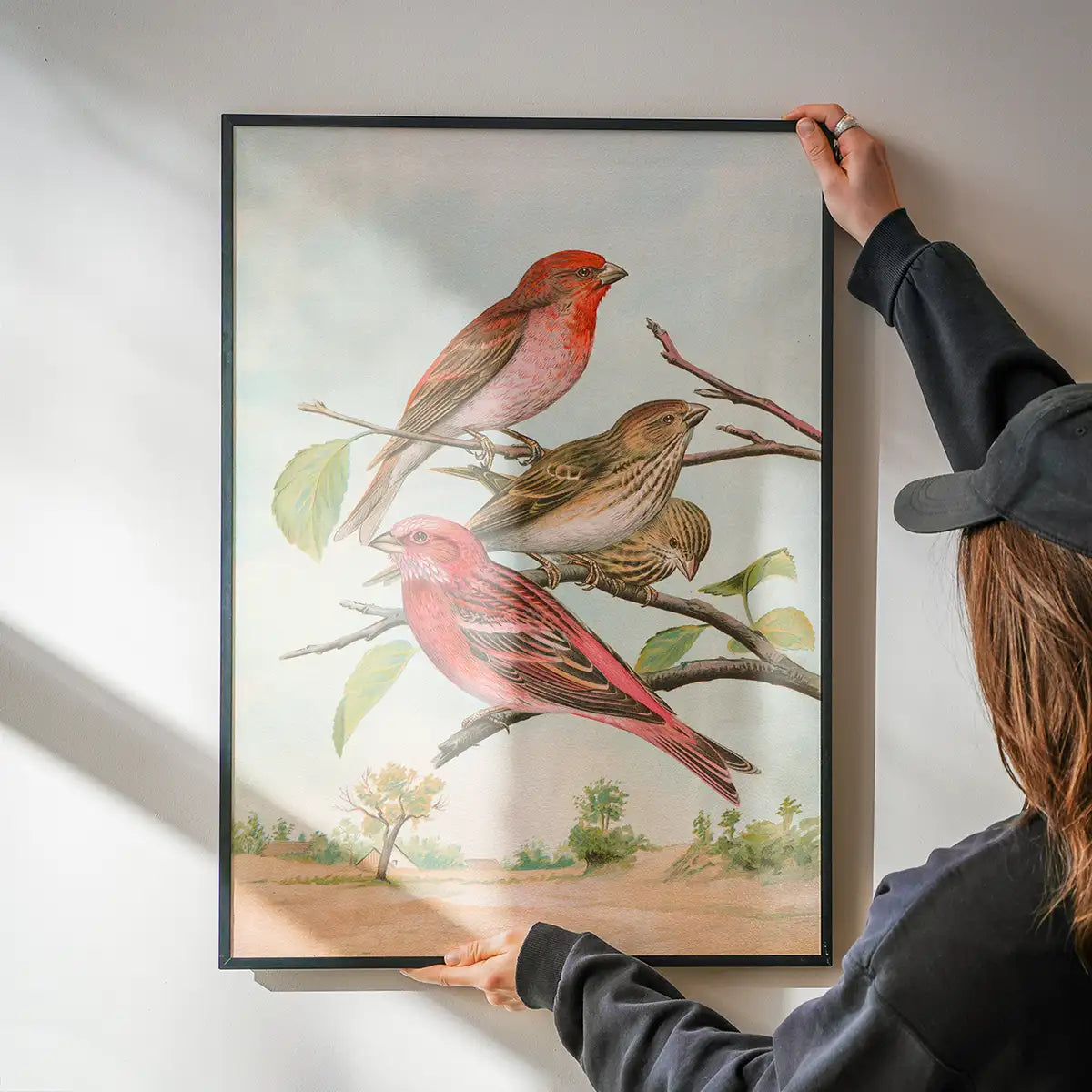 Common Rosefinch Vintage Bird Print by Johann Friedrich Naumann