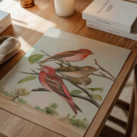 Common Rosefinch Vintage Bird Print by Johann Friedrich Naumann