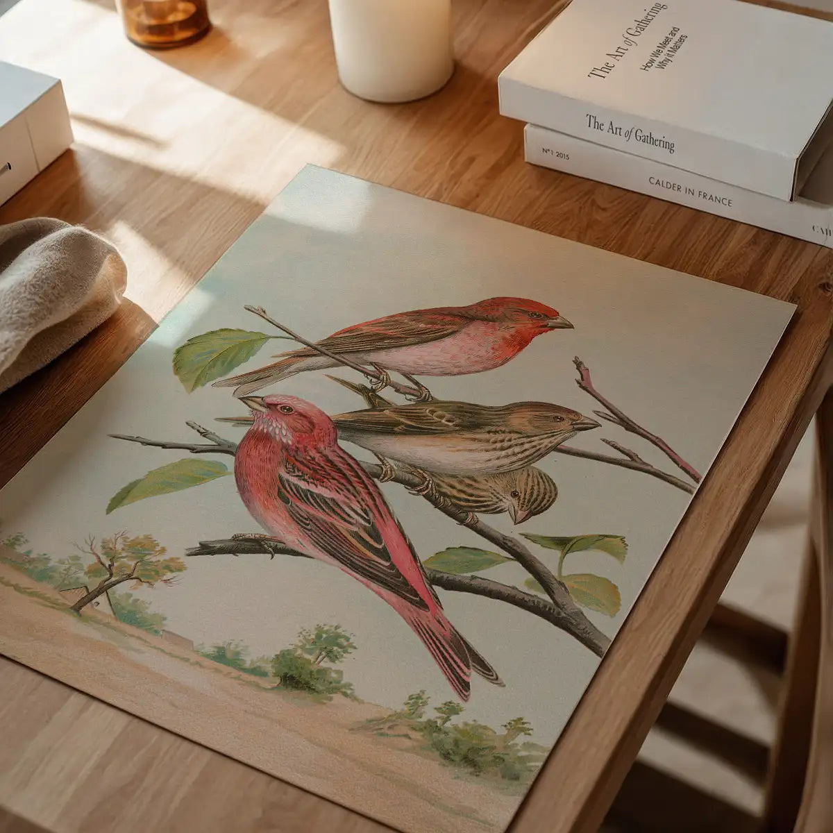 Common Rosefinch Vintage Bird Print by Johann Friedrich Naumann