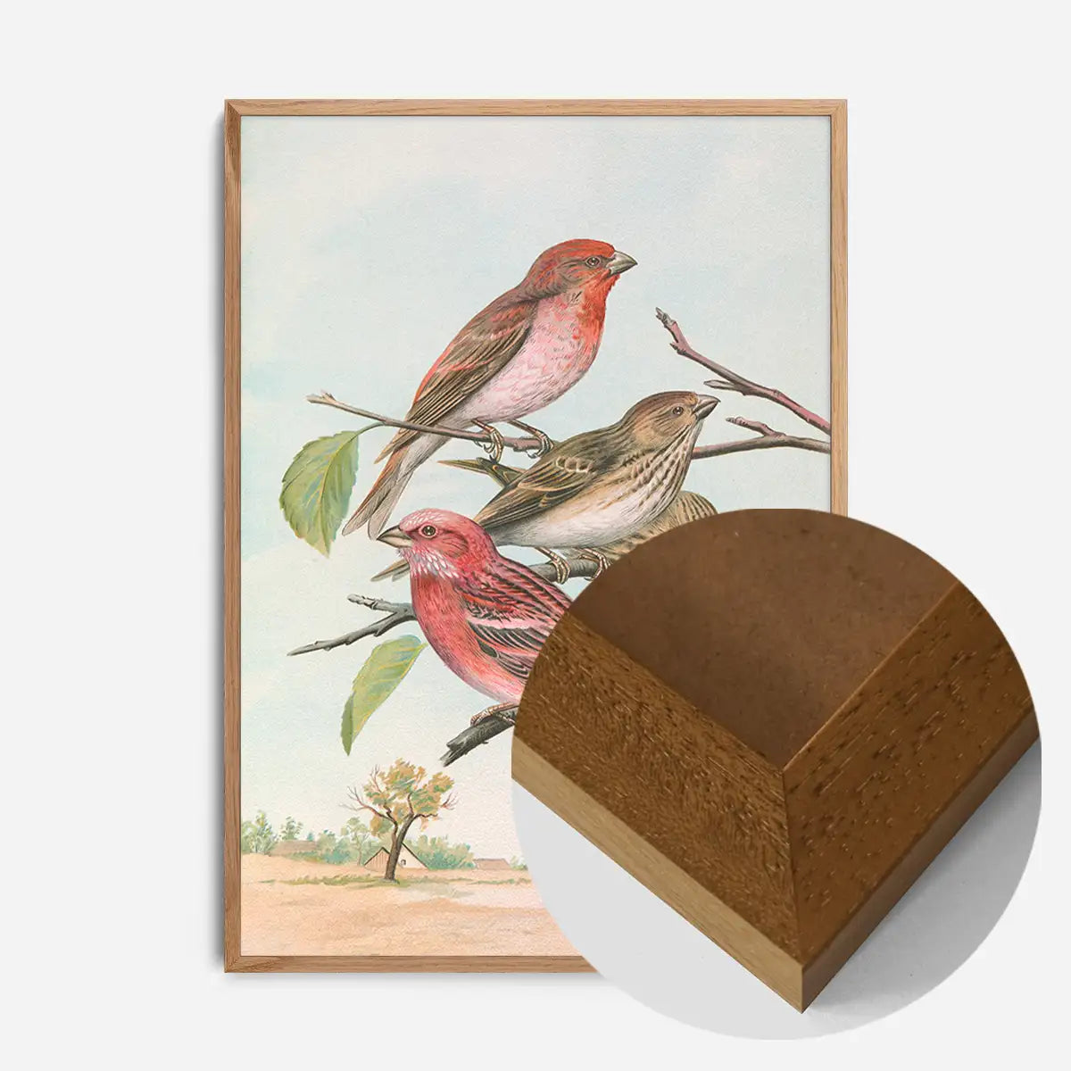 Common Rosefinch Vintage Bird Print by Johann Friedrich Naumann