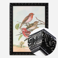 Common Rosefinch Vintage Bird Print by Johann Friedrich Naumann