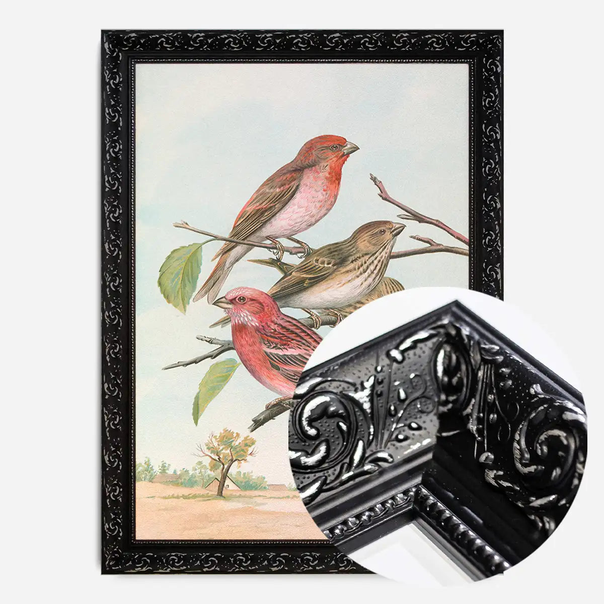 Common Rosefinch Vintage Bird Print by Johann Friedrich Naumann
