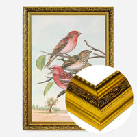 Common Rosefinch Vintage Bird Print by Johann Friedrich Naumann