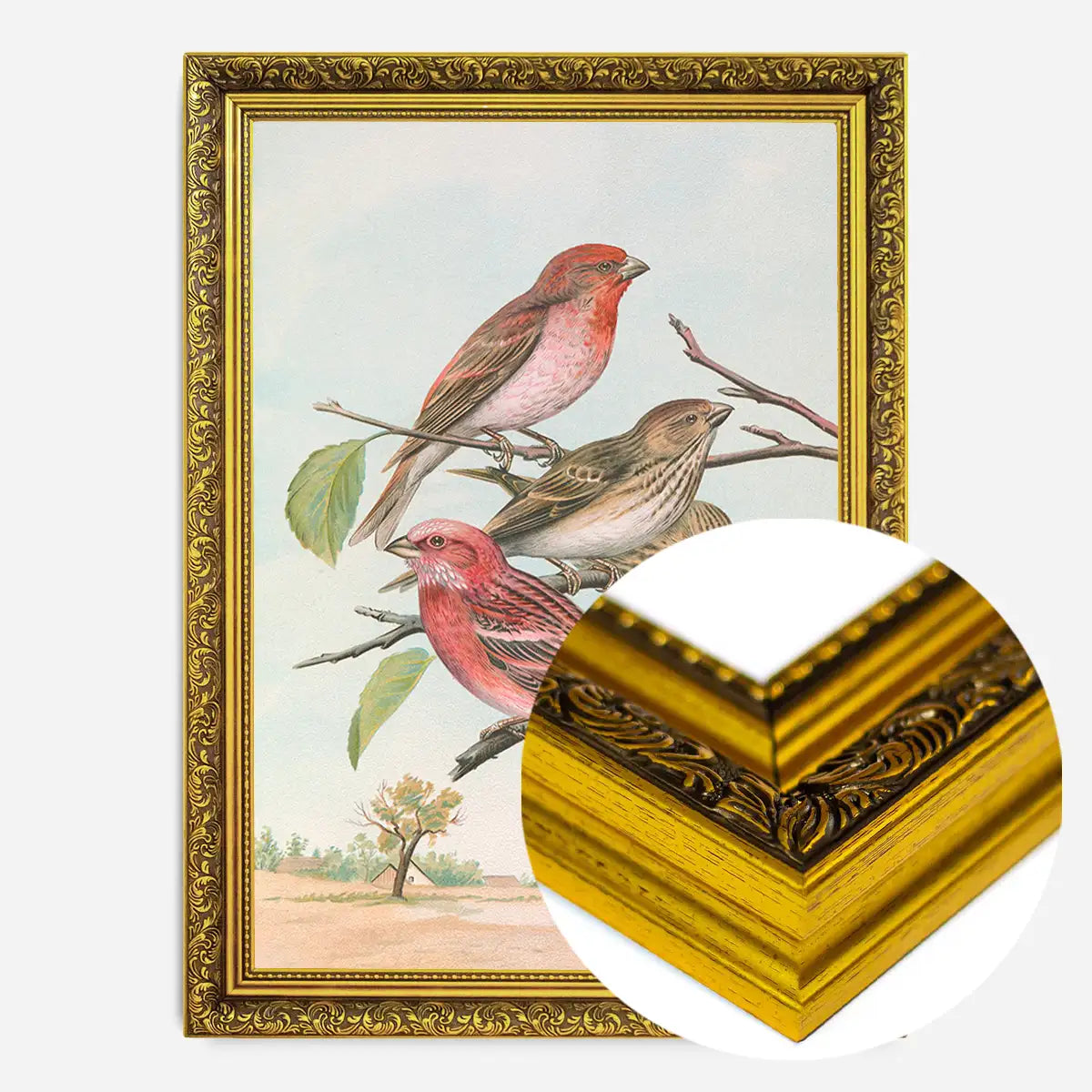 Common Rosefinch Vintage Bird Print by Johann Friedrich Naumann