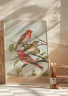 Common Rosefinch Vintage Bird Print by Johann Friedrich Naumann