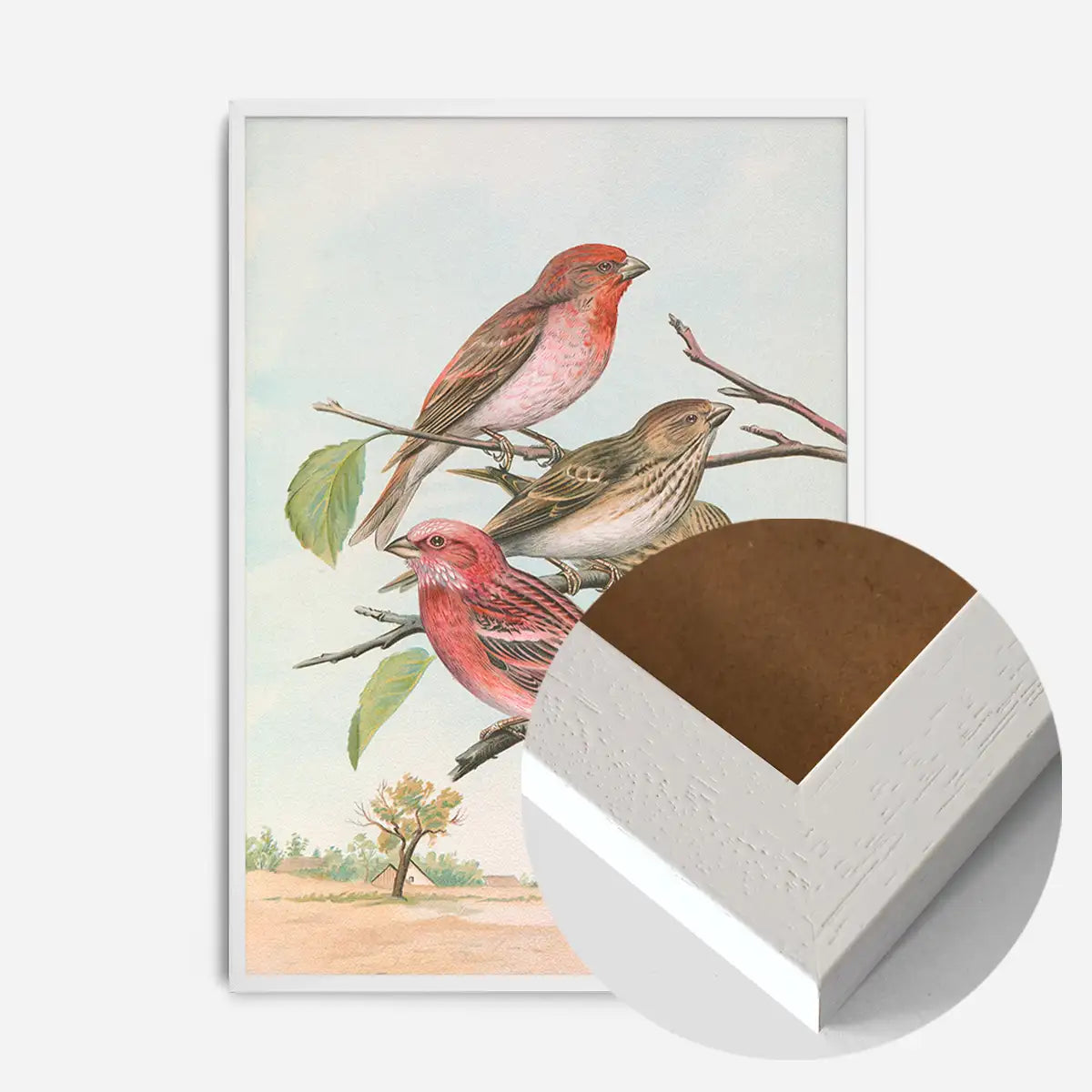 Common Rosefinch Vintage Bird Print by Johann Friedrich Naumann