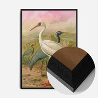 Demoiselle Crane Vintage Bird Print by Johann Friedrich Naumann
