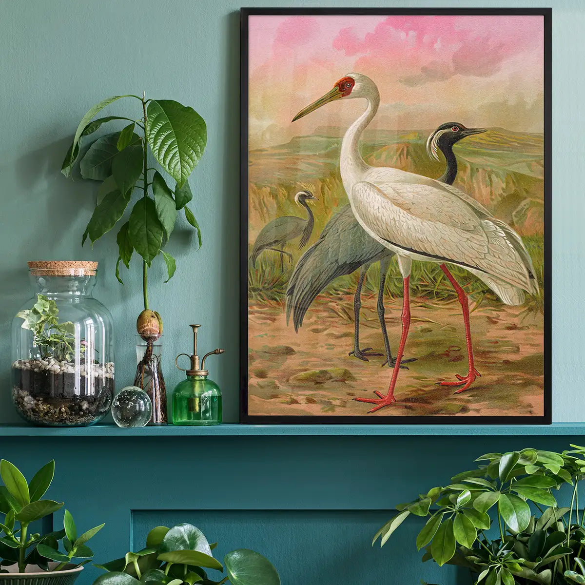 Demoiselle Crane Vintage Bird Print by Johann Friedrich Naumann