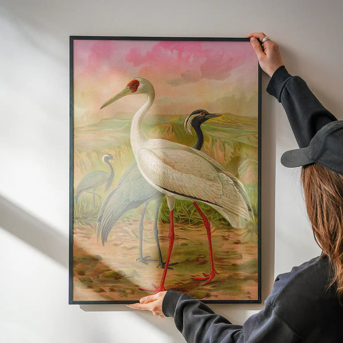 Demoiselle Crane Vintage Bird Print by Johann Friedrich Naumann