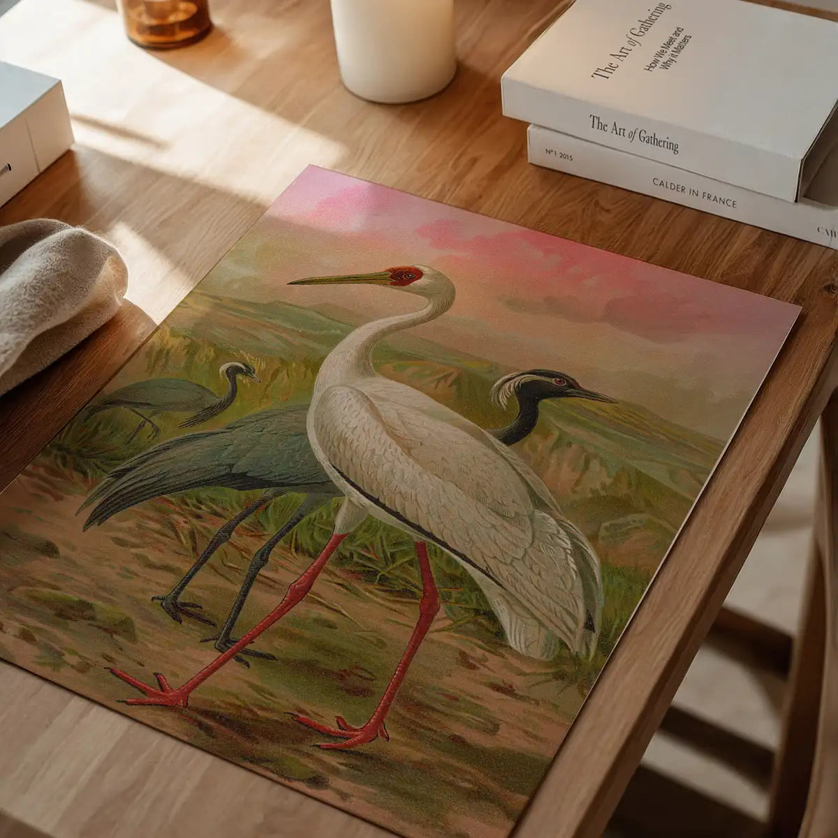 Demoiselle Crane Vintage Bird Print by Johann Friedrich Naumann