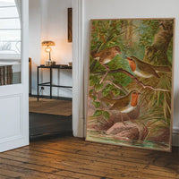 European Robin Vintage Bird Print by Johann Friedrich Naumann