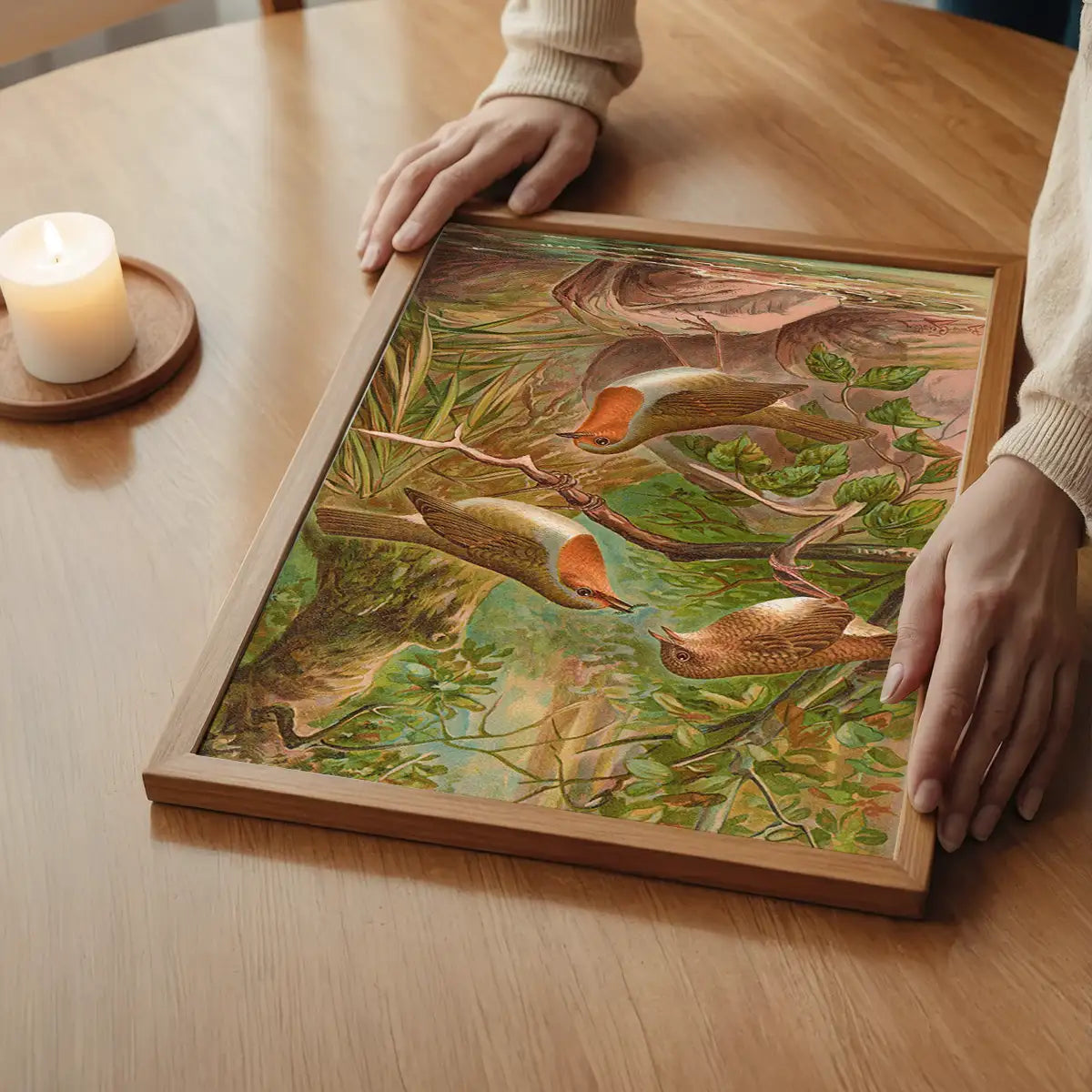 European Robin Vintage Bird Print by Johann Friedrich Naumann