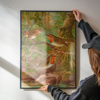European Robin Vintage Bird Print by Johann Friedrich Naumann