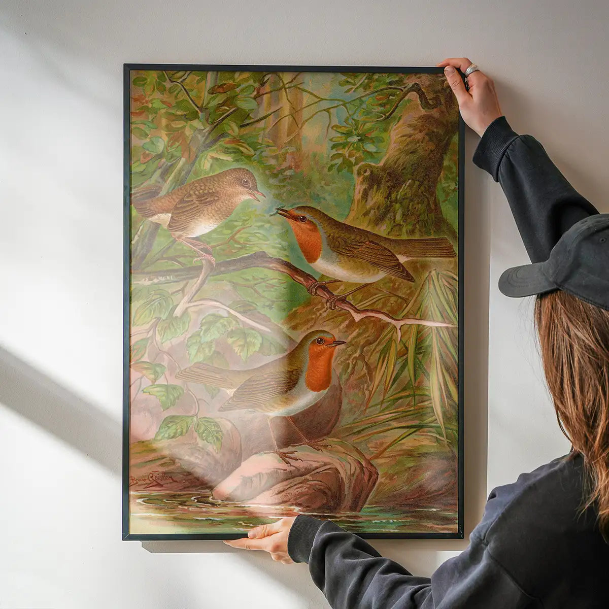 European Robin Vintage Bird Print by Johann Friedrich Naumann