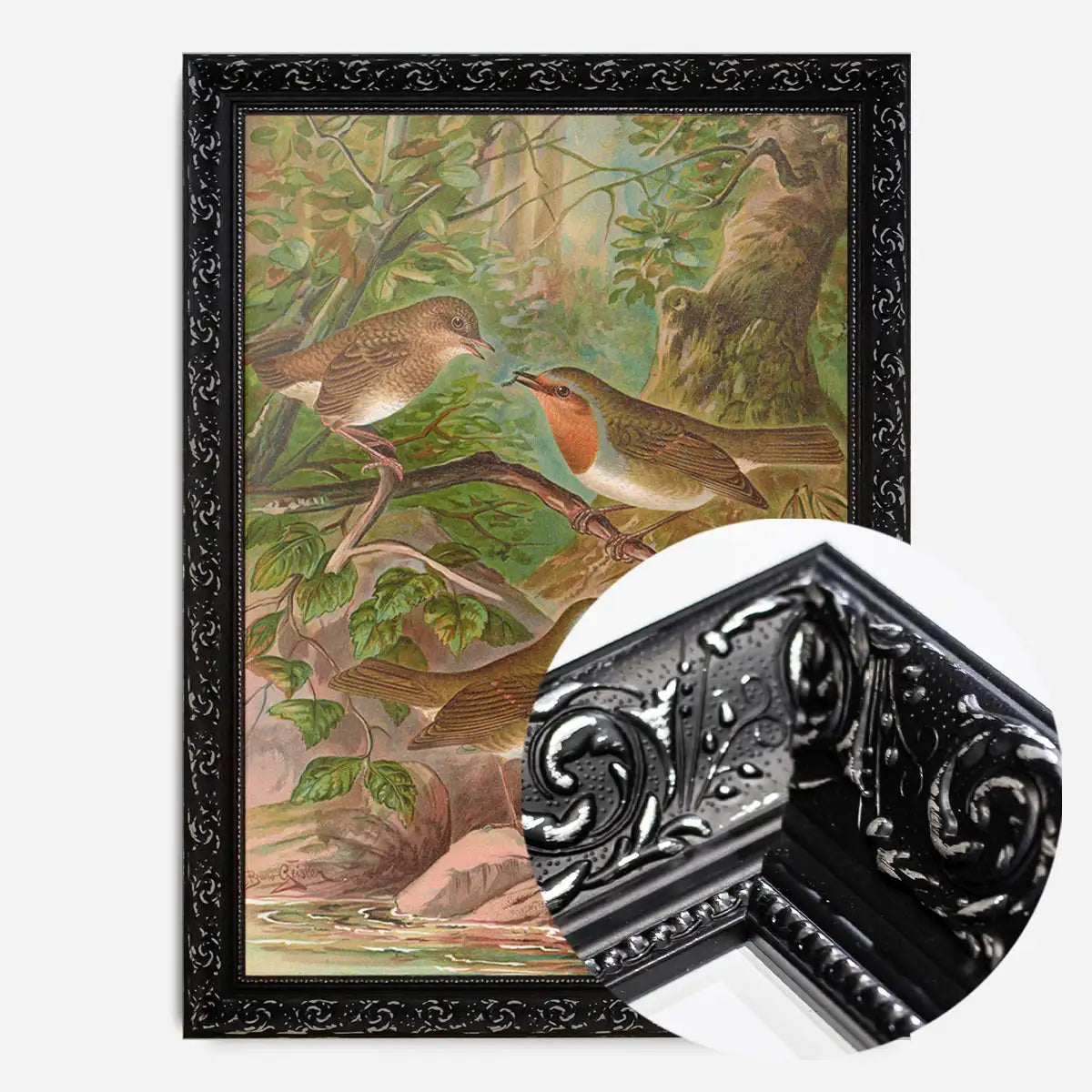 European Robin Vintage Bird Print by Johann Friedrich Naumann
