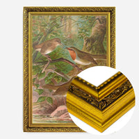 European Robin Vintage Bird Print by Johann Friedrich Naumann