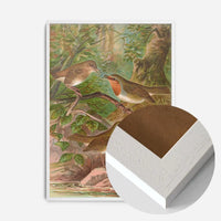 European Robin Vintage Bird Print by Johann Friedrich Naumann