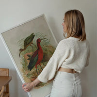 Glossy Ibis Vintage Bird Print by Johann Friedrich Naumann