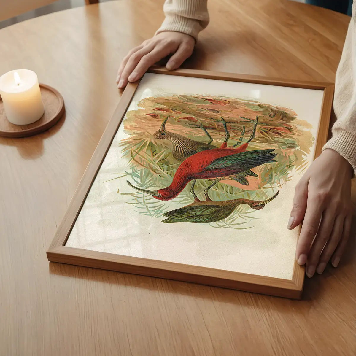 Glossy Ibis Vintage Bird Print by Johann Friedrich Naumann