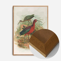 Glossy Ibis Vintage Bird Print by Johann Friedrich Naumann