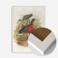 White Wood Frame