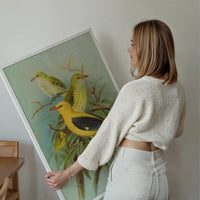 Golden Oriole Vintage Bird Print by Johann Friedrich Naumann