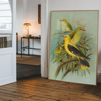 Golden Oriole Vintage Bird Print by Johann Friedrich Naumann