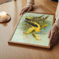 Golden Oriole Vintage Bird Print by Johann Friedrich Naumann