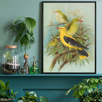 Golden Oriole Vintage Bird Print by Johann Friedrich Naumann