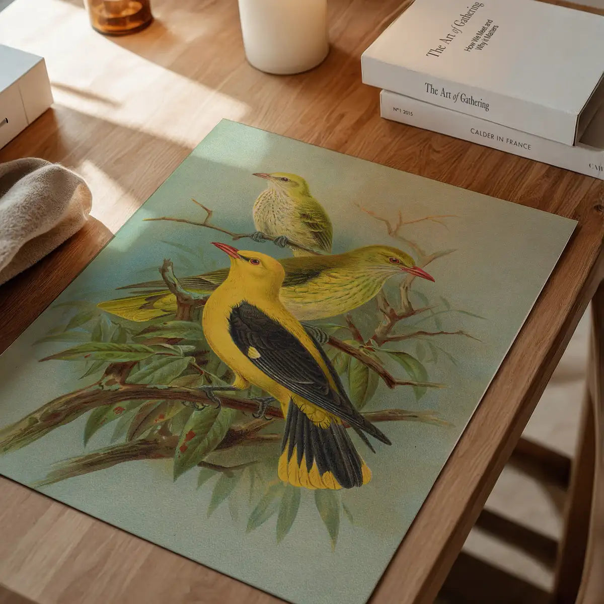 Golden Oriole Vintage Bird Print by Johann Friedrich Naumann