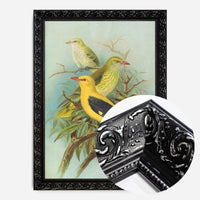 Golden Oriole Vintage Bird Print by Johann Friedrich Naumann