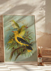 Golden Oriole Vintage Bird Print by Johann Friedrich Naumann